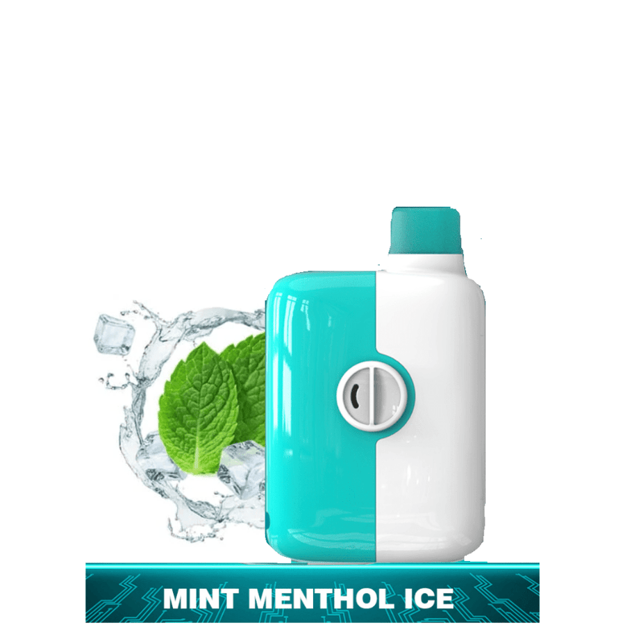 Mr Fog Switch 5500 Disposable-Mint Menthol Ice Steinbach Vape SuperStore and Bong Shop Manitoba Canada