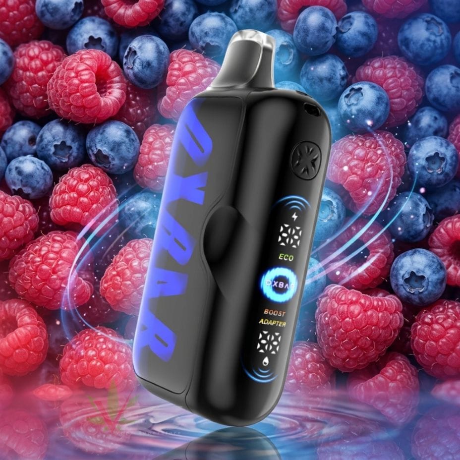 Oxbar G100K Disposable Vape - Blueberry Raspberry 100K / 20mg Steinbach Vape SuperStore and Bong Shop Manitoba Canada
