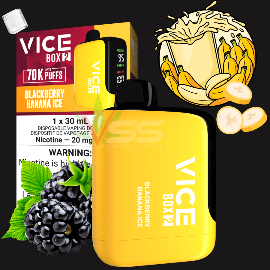 Vice Box 2 Disposable Vape-Blackberry Banana Ice Steinbach Vape SuperStore and Bong Shop Manitoba Canada